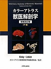 カラ-アトラス獸醫解剖學〈下卷〉 (增補改訂版, 大型本)