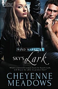 Wind Warriors : Skys Lark (Paperback)