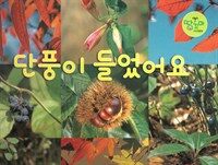 단풍이 들었어요 - 열매, 잎