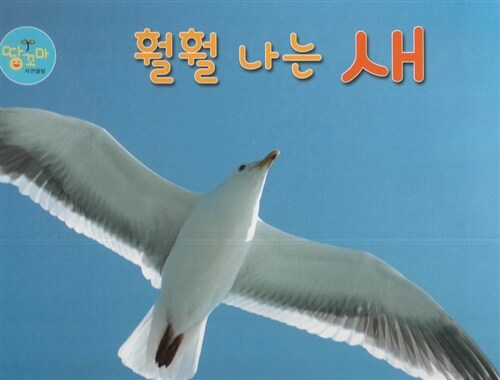 훨훨 나는 새