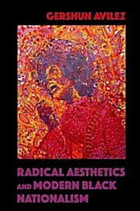 Radical Aesthetics and Modern Black Nationalism (Hardcover)