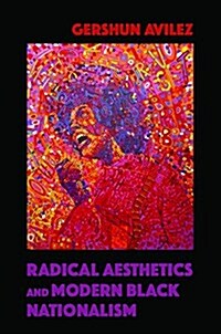 Radical Aesthetics and Modern Black Nationalism (Paperback)