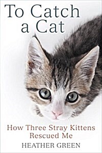 To Catch a Cat: How Three Stray Kittens Rescued Me (Paperback)
