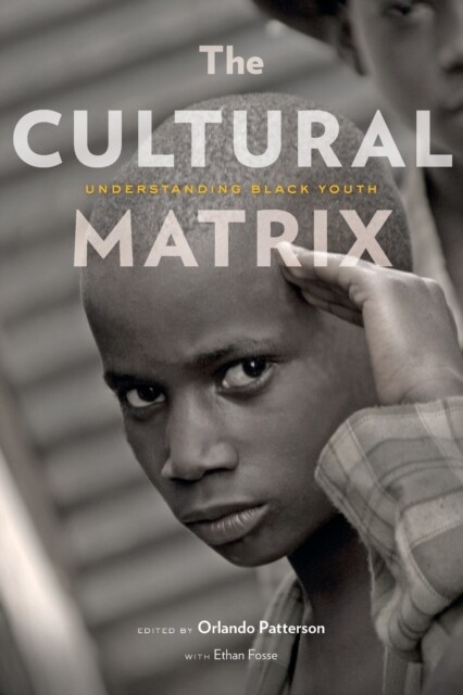 The Cultural Matrix: Understanding Black Youth (Paperback)