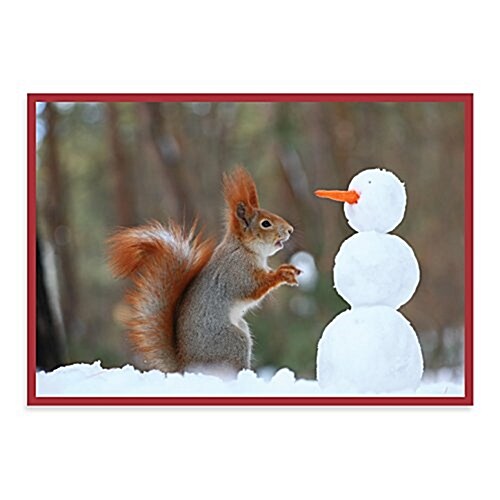 Snow Friends Holiday Half Notecards (Other)