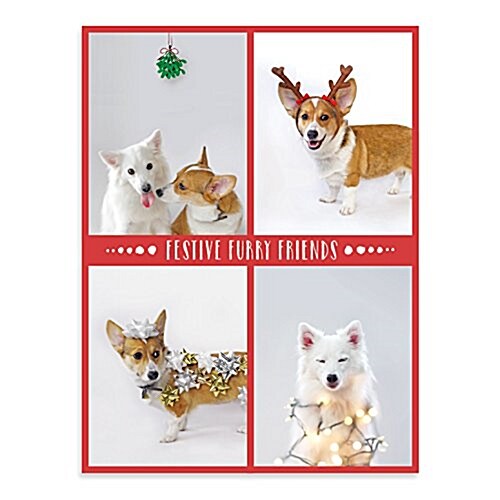 Festive Furry Friends Deluxe Holiday Notecards (Other)