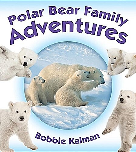 Polar Bear Family Adventures (Hardcover)