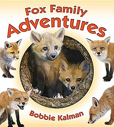 Fox Family Adventures (Hardcover)