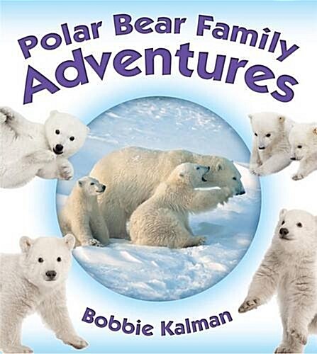 Polar Bear Family Adventures (Paperback)