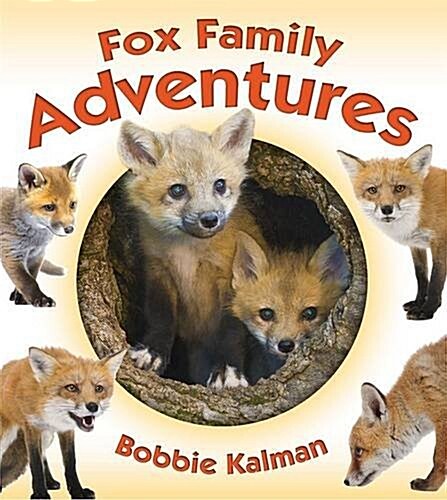Fox Family Adventures (Paperback)