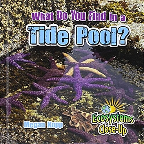 What Do You Find in a Tide Pool? (Hardcover)