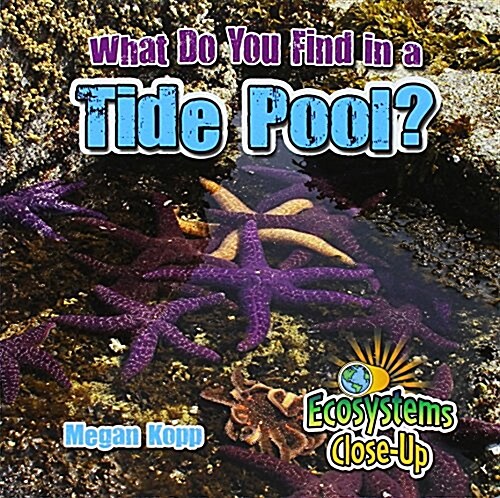 What Do You Find in a Tide Pool? (Paperback)