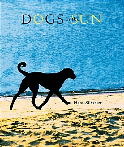 Dogs in the Sun (Hardcover)