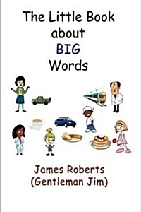 The Little Book About Big Words (Paperback)