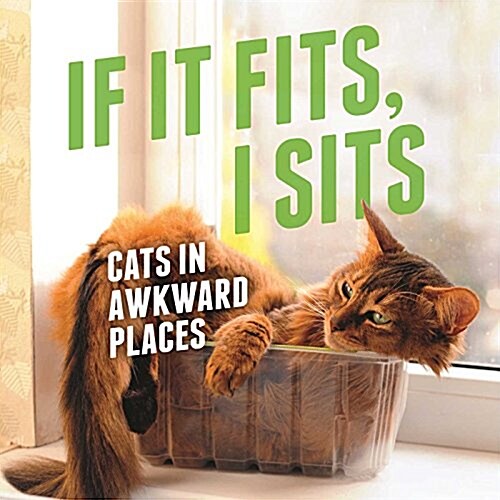 If It Fits, I Sits: Cats in Awkward Places (Hardcover)