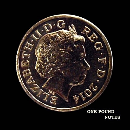 One Pound Notes (Paperback, DRY, JOU, NT)