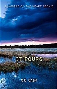 It Pours (Paperback)