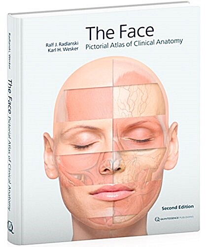 [중고] The Face (Hardcover, 2nd)