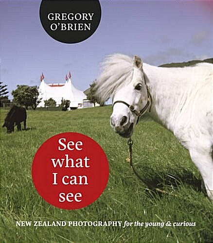See What I Can See: New Zealand Photography for the Young and Curious (Hardcover)