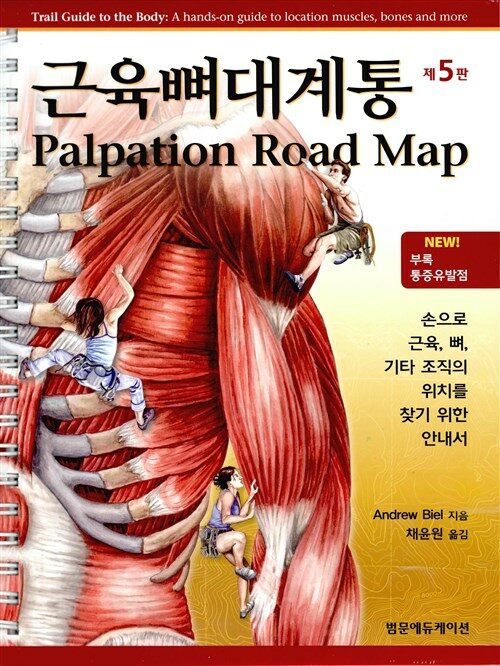 근육뼈대계통 Palpation Road Map (스프링)