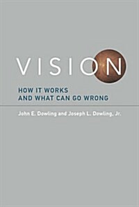 Vision: How It Works and What Can Go Wrong (Hardcover)