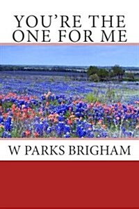 Youre the One for Me (Paperback)