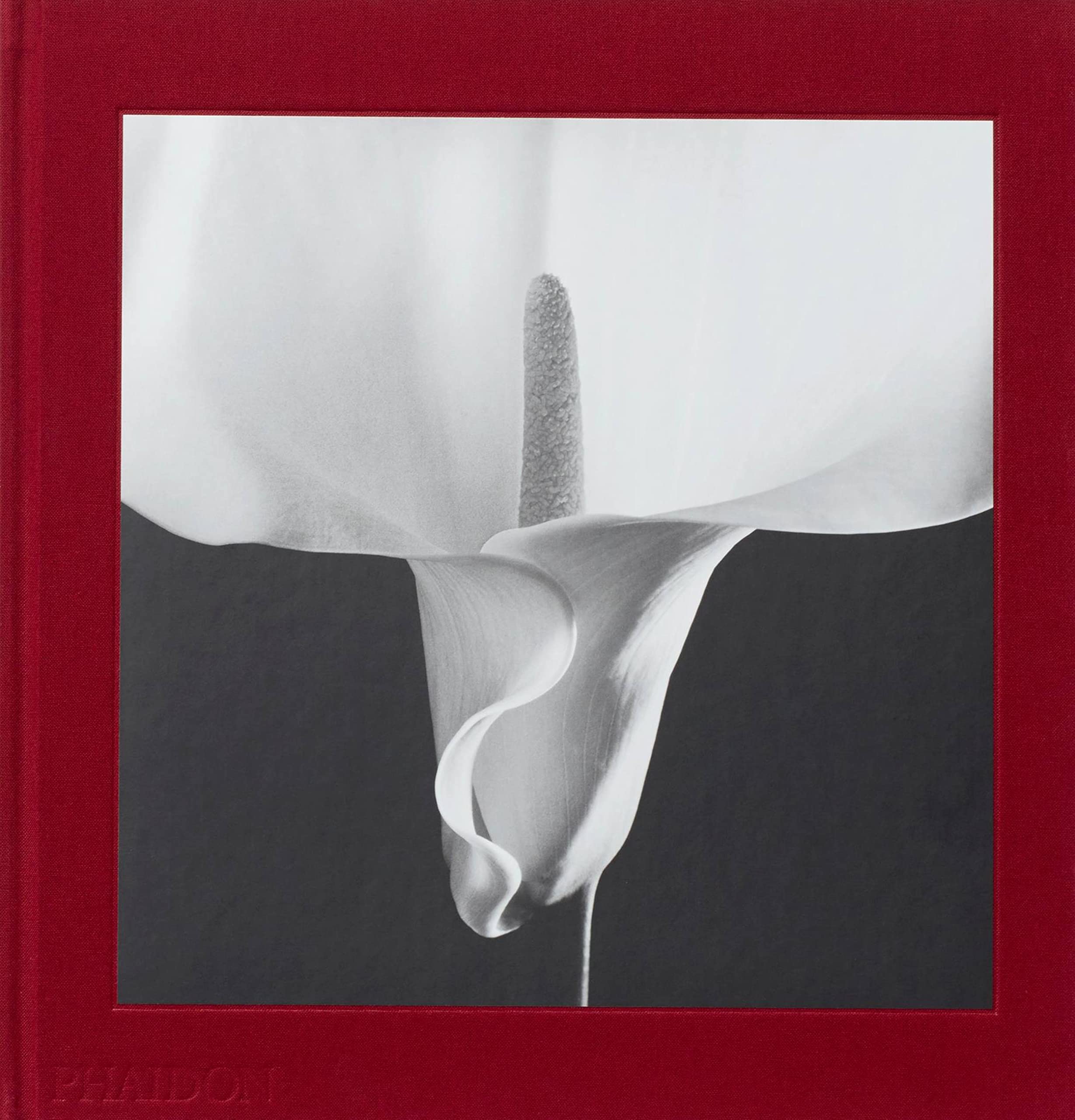 Mapplethorpe Flora : The Complete Flowers (Hardcover)