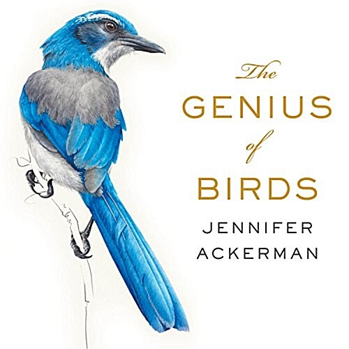The Genius of Birds (Audio CD)