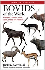 Bovids of the World: Antelopes, Gazelles, Cattle, Goats, Sheep, and Relatives (Paperback)