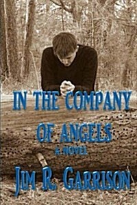 In the Company of Angels (Paperback, 2nd)