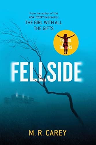 Fellside (Paperback)