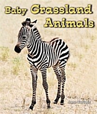 Baby Grassland Animals (Paperback)