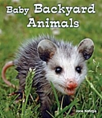 Baby Backyard Animals (Paperback)
