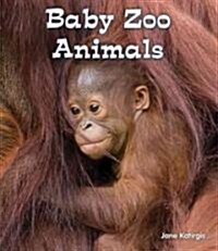 Baby Zoo Animals (Paperback)