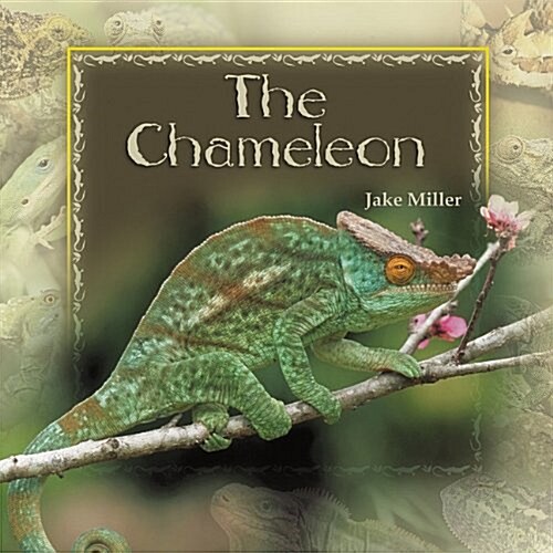 The Chameleon (Paperback)
