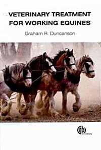 Veterinary Treatment for Working Equines (Hardcover)