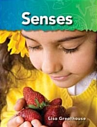 [중고] Senses (Paperback)