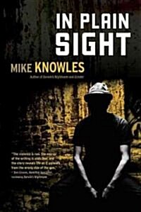 In Plain Sight (Hardcover)