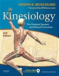 Kinesiology: The Skeletal System and Muscle Function (Paperback, 2, Revised)