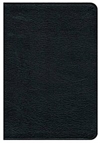 Premium Bible-NRSV (Leather)