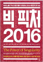 빅 픽처 2016