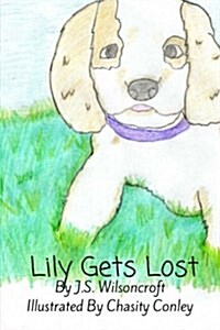 Lily Gets Lost (Paperback)