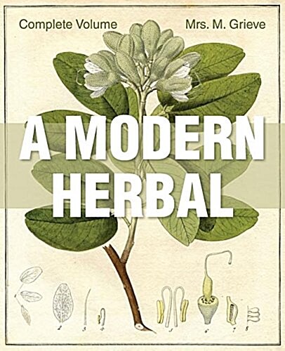 A Modern Herbal: The Complete Edition (Paperback)