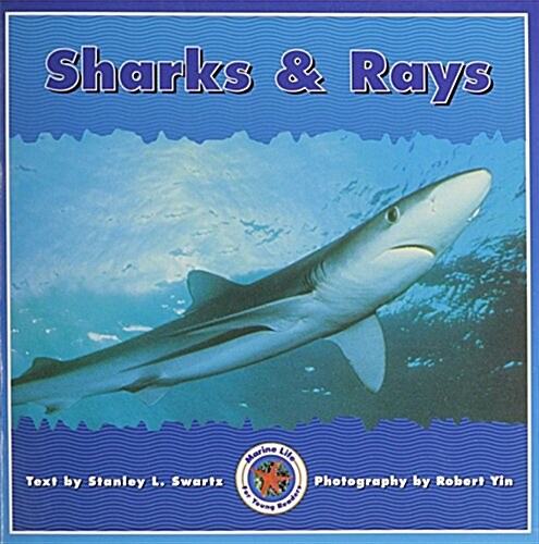 Sharks & Rays (Paperback)