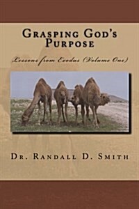 Grasping Gods Purpose (I): Lessons from Exodus (Paperback)