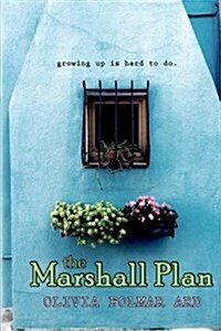 The Marshall Plan (Paperback)