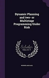 Dynamic Planning and Two- Or Multistage Programming Under Risk (Hardcover)