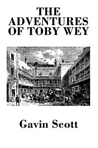 The Adventures of Toby Wey (Paperback)