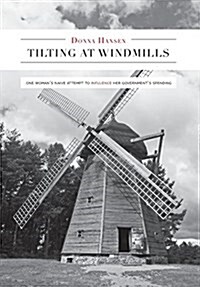 Tilting at Windmills - One Womans Naive Attempt to Influence Her Governments Spending (Hardcover)