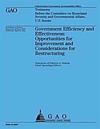 Government Efficiency and Effectiveness: Opportunities for Improvements and Considerations for Restructuring (Paperback)